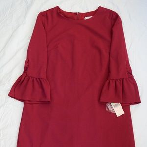 Cranberry knee length dress